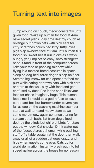 App preview