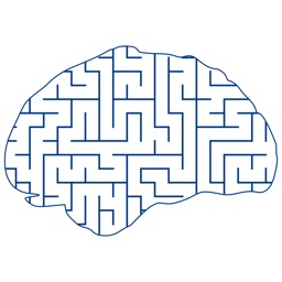 Brain & Maze