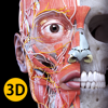 Anatomia - Atlas 3D app