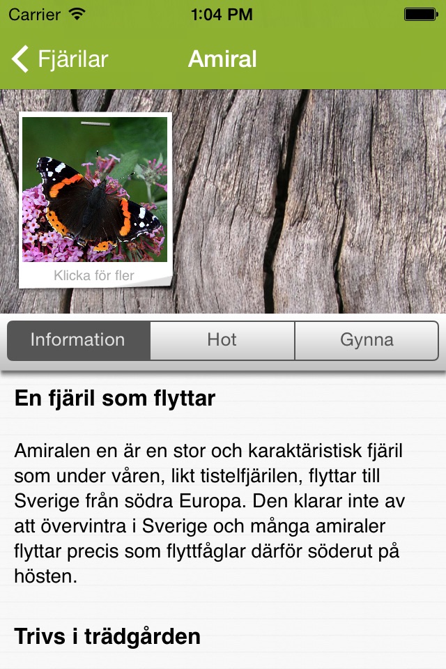 Fjärilar screenshot 2