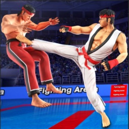 Karate Kings Fight 23