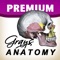 *** GRAY'S ANATOMY PREMIUM INCLUDES 1000+ Original HD IMAGES***