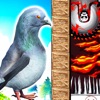 Pigeon Rescue - escape game