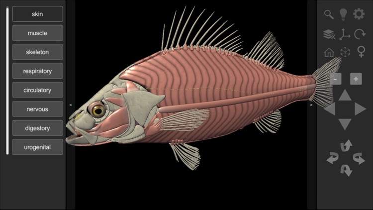 3D Fish Anatomy screenshot-3