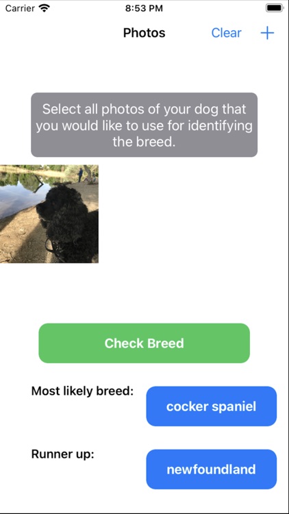 Dog Breed Identifier App