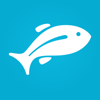 Previsión de pesca: Fishbox app