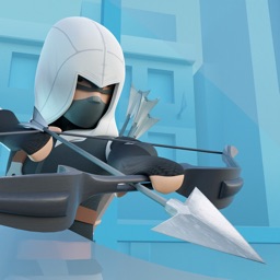 Archer Thief 3D