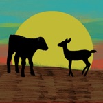Buck  Bull
