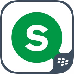 Qlik Sense for BlackBerry®