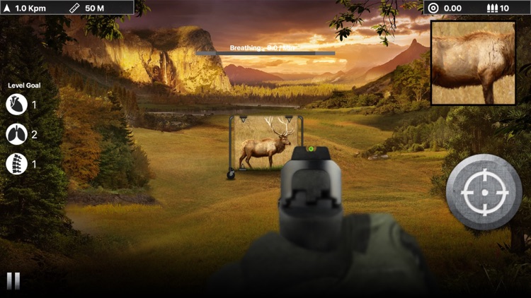 Deer Target Shooting : Pro screenshot-3