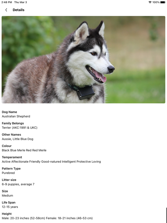 Dog Scanner Dog Breed Photo ID screenshot 2