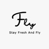 Fly Carwash