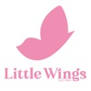 Little Wings Factory