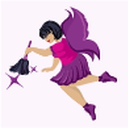 FlyLadyPlus