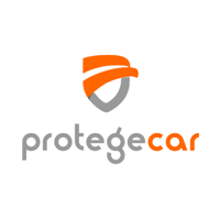 Protege Car