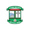 St Michaels Foilmore GAA