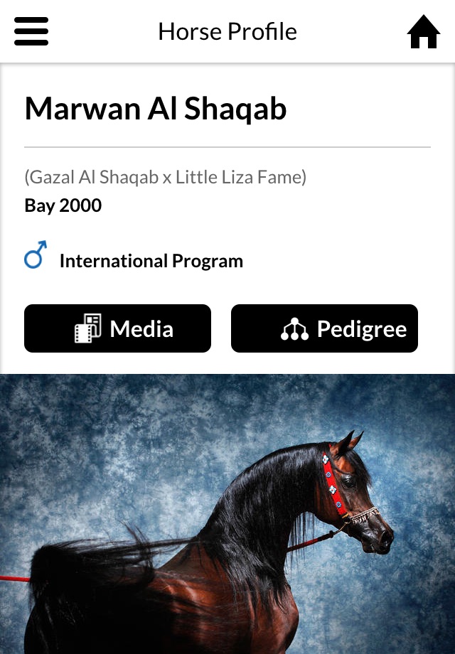 AL SHAQAB screenshot 4