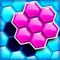 Icon Hexa: Block Puzzle Games