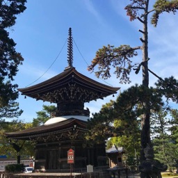 Nara Tour shopping selection