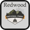 Best Red Wood National Park