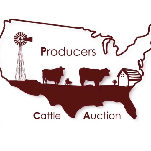 Producers Cattle Auction Icon