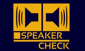 Speaker Surround Check