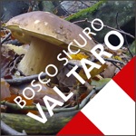 A Funghi in Val Taro