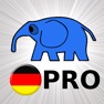 Get Deutsche Grammatik PRO for iOS, iPhone, iPad Aso Report