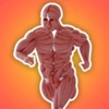 Icon Muscle Fiber Man