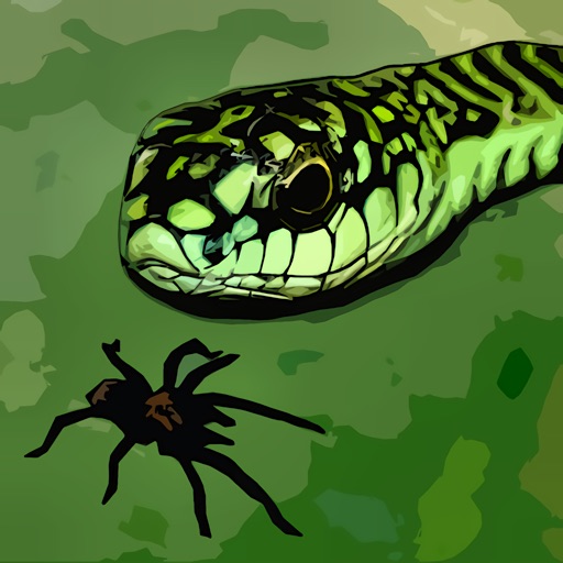 Tarantula vs Snake Icon