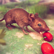Mouse Simulator- Family Life