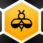 Word Spelling Bee