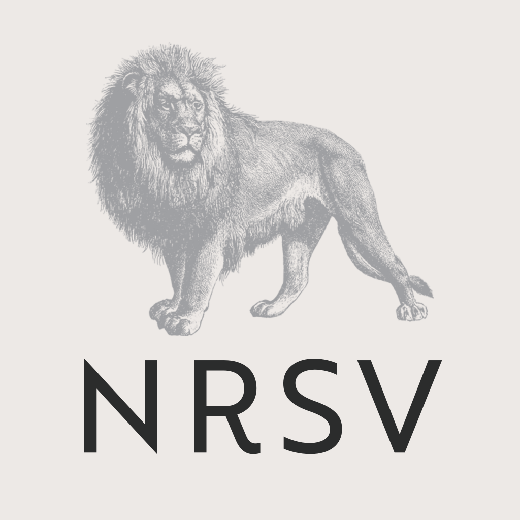 Get NRSV: Audio Bible for Everyone for iOS, iPhone, iPad Aso Report