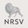 NRSV: Audio Bible for Everyone
