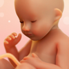 WeMoms Pregnancy Baby Tracker - Globalia