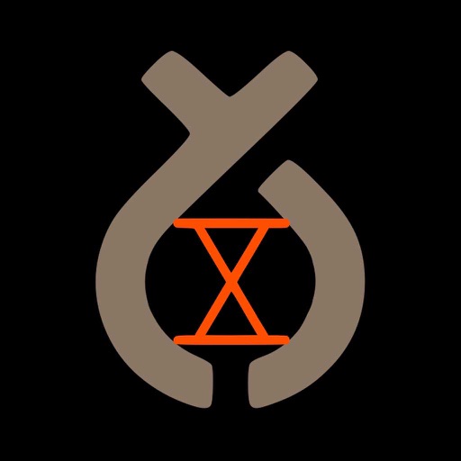 StromaScape Metric Time Ed.