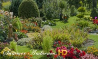 Summer Ambience HD