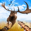 Deer Hunting - big buck hunter