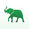 Green Elephant 7 - Oksana Kanivets