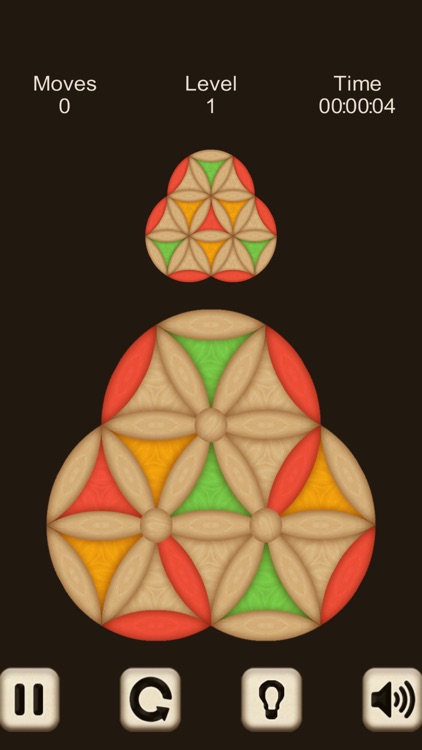 Hard Wood Puzzle. Hexagon