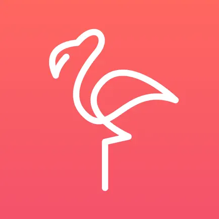 Flamingo - Teach Language Cheats