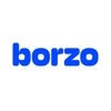 Borzo: Instant Online Delivery
