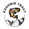 Kashmir Trout
