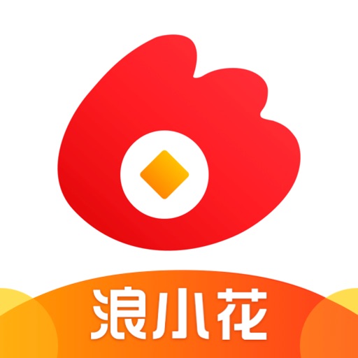 浪小花-小额贷款现金借钱app