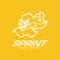 La Sprint Sport Center è ubicata a Palermo, in Corso Calatafimi 326