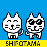 Download SHIROTAMA Cat Sticker app