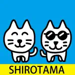 SHIROTAMA Cat Sticker App Positive Reviews
