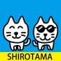 SHIROTAMA Cat Sticker app download