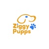 Ziggy Pupps