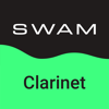SWAM Clarinet - Audio Modeling